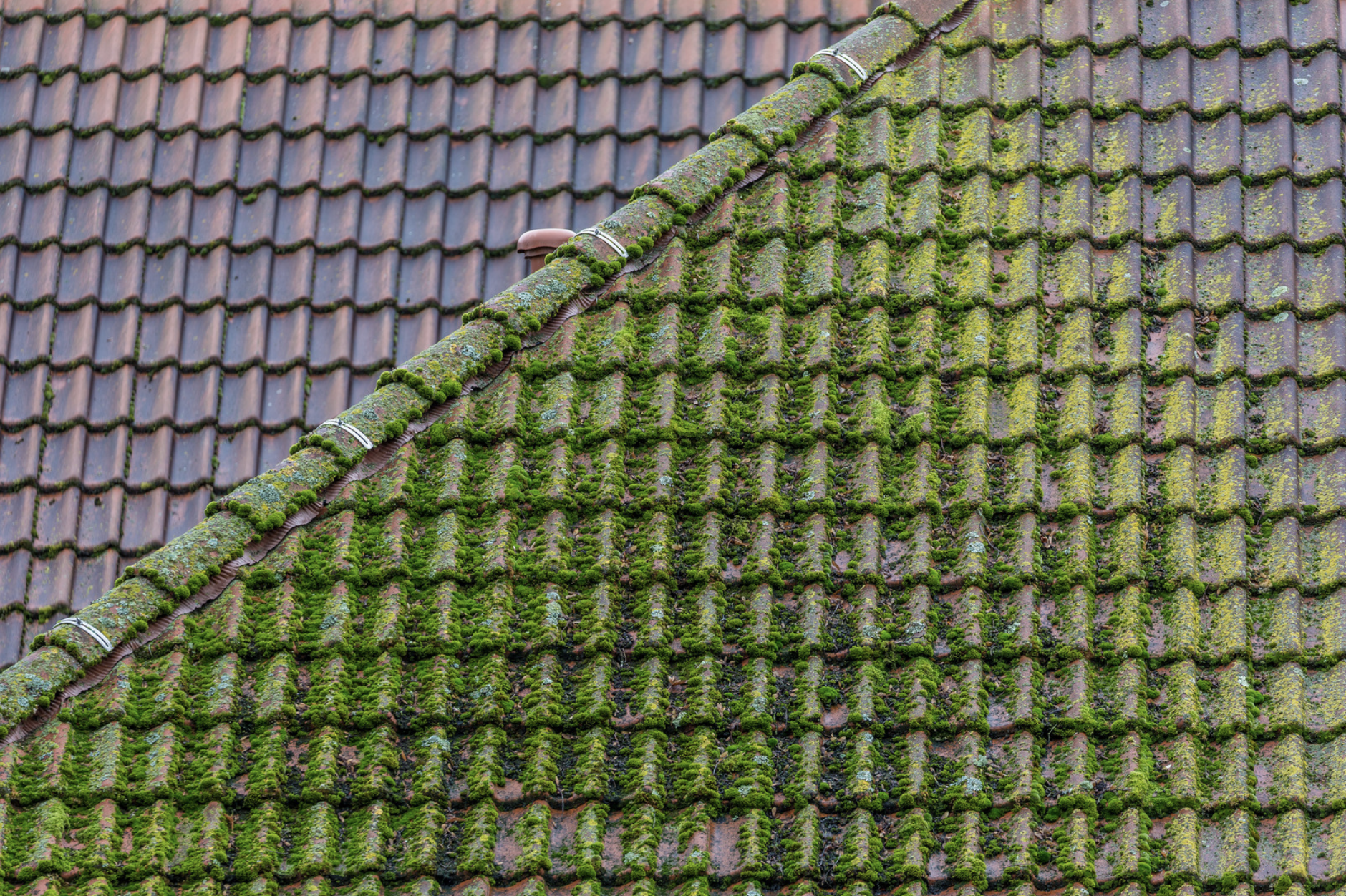 TRAITEMENT 3 TRAITEMENT 3